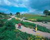 National Botanic Garden